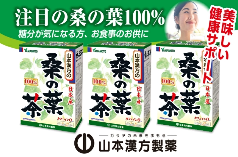 ＜2ヶ月に1度、6回送付＞桑の葉茶　山本漢方　定期便