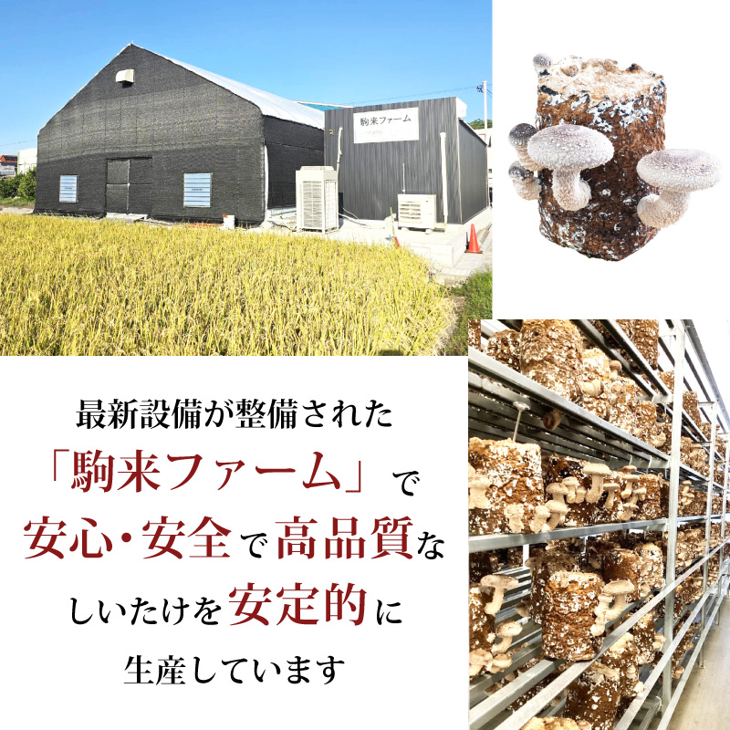 駒来ファームの肉厚乾しいたけ・スライス乾しいたけ[極上 肉厚 乾しいたけ 乾シイタケ 乾椎茸 干ししいたけ 干し椎茸 スライス 安心 安全 国産 採れたて 新鮮 きのこ 野菜]