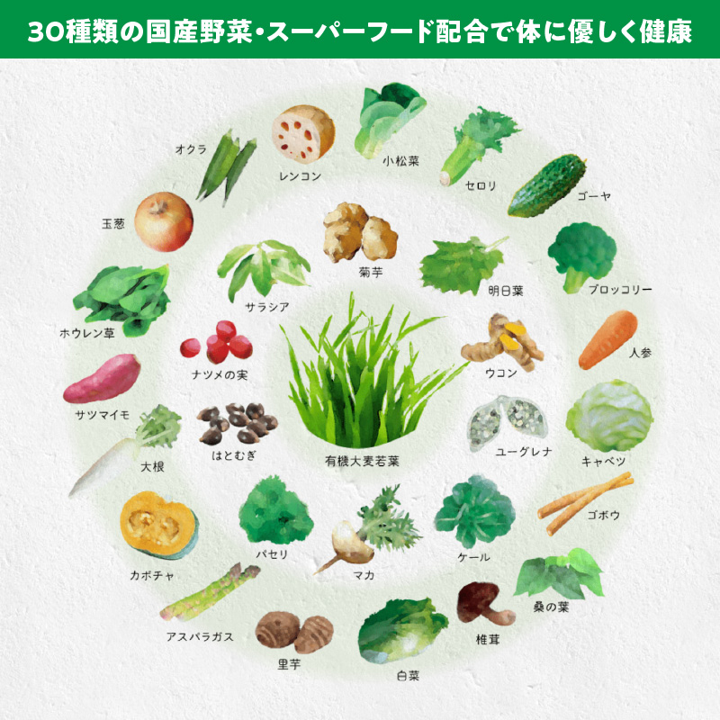 ＜2ヶ月に1度、6回送付＞国産有機大麦若葉＆３０種の野菜　山本漢方　定期便