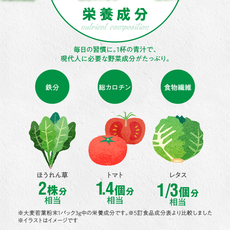 ＜6ヶ月に1度、2回送付＞大麦若葉粉末(462H)+黒ごま黒豆きな粉+ 糖流茶　山本漢方　定期便