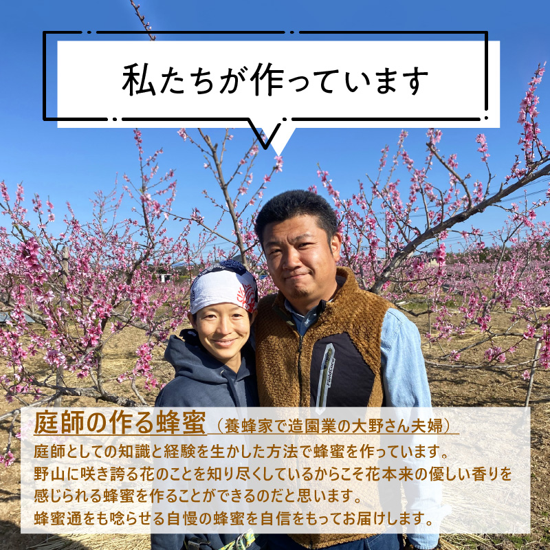 【愛知県小牧市】桃畑で作った完熟非加熱はちみつ200g×2本 パウチ入り ポスト便