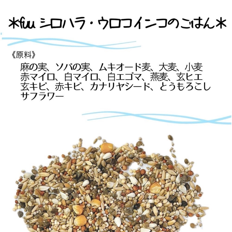 fuu シロハラインコ・ウロコインコのごはん（800g）