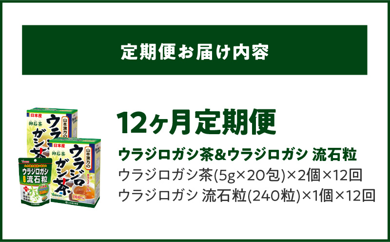 ＜12ヶ月連続＞ウラジロガシ茶＆ウラジロガシ 流石粒　山本漢方　定期便