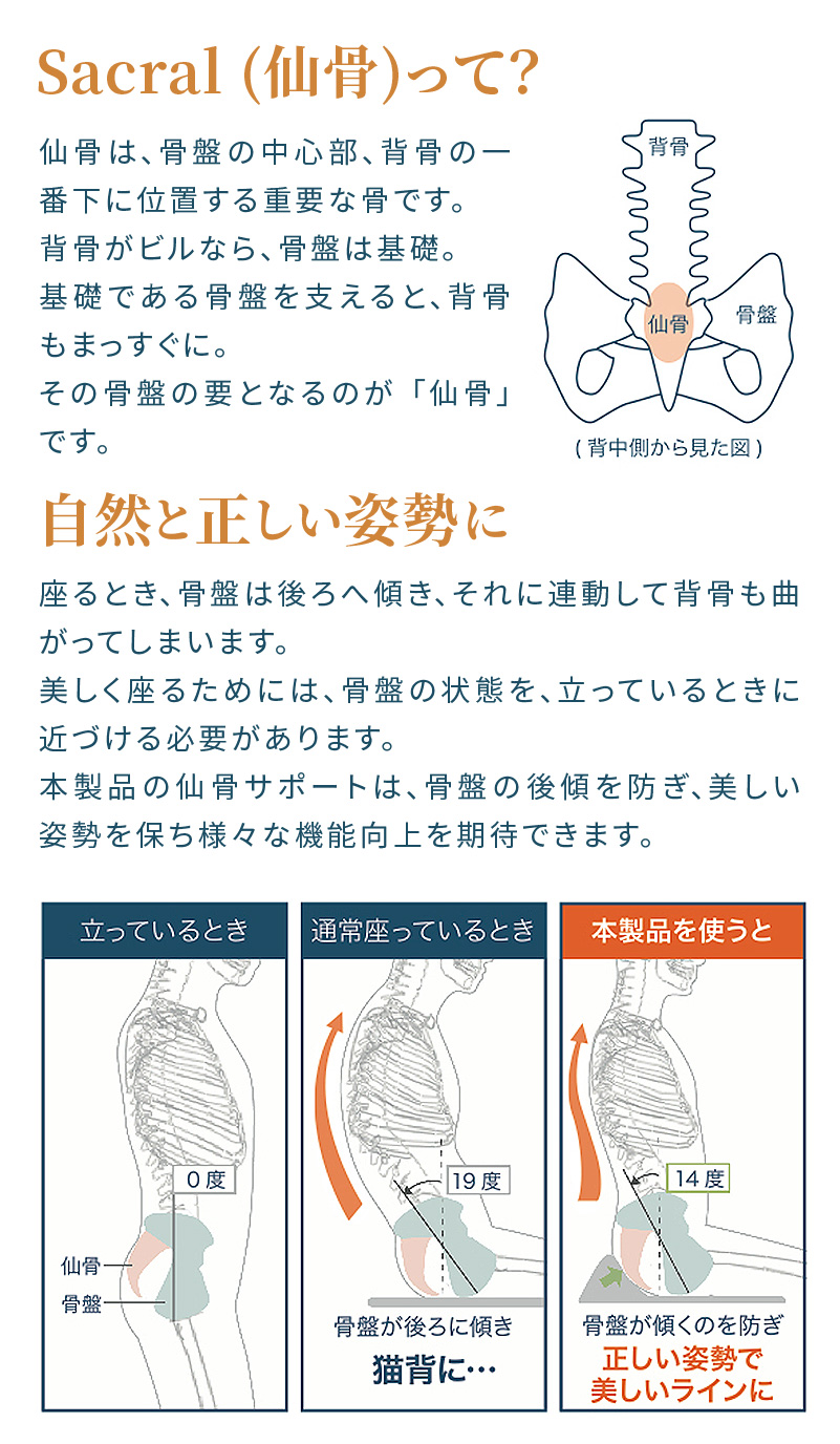 自動車シートメーカーが追求した最幸の座り心地　「仙骨サポート座布団」