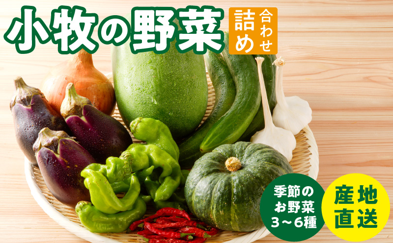 ネオコスモ農園で採れた小牧の野菜詰め合わせ