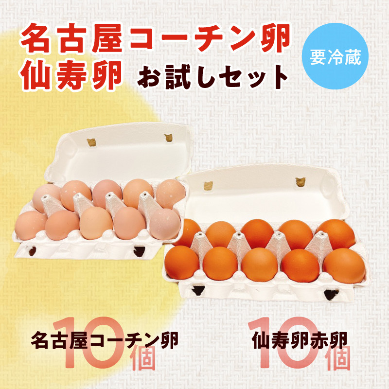 名古屋コーチン卵・仙寿卵お試しセット（各10個入り）