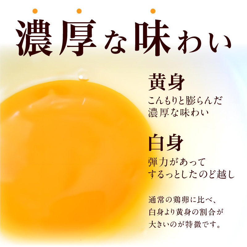 【3ヶ月定期便】名古屋コーチン卵・仙寿卵お試しセット（各10個入り）×3回（計各30個）