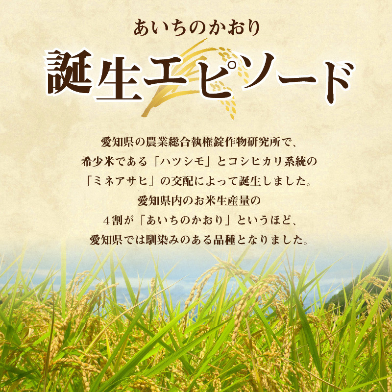 3ヶ月定期便】お米「あいちのかおり」10kg（計30kg） - ふるさとパレット ～東急グループのふるさと納税～