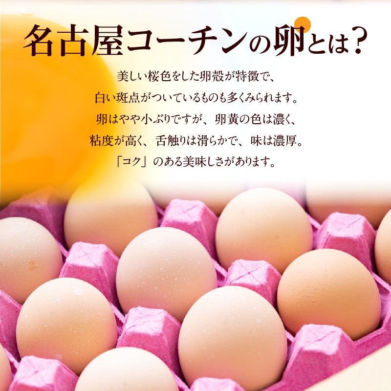 【3ヶ月定期便】名古屋コーチン卵・仙寿卵お試しセット（各10個入り）×3回（計各30個）