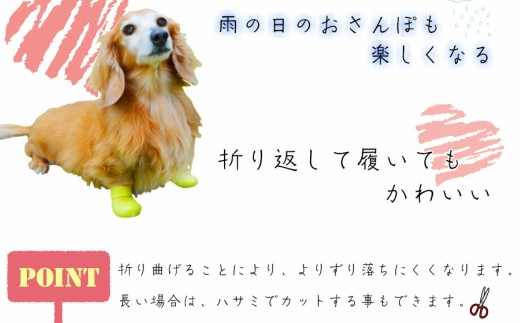 犬用ソックス「おさんぽソックス」