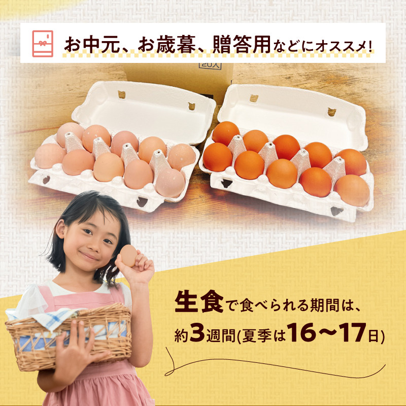 名古屋コーチン卵・仙寿卵お試しセット（各10個入り）