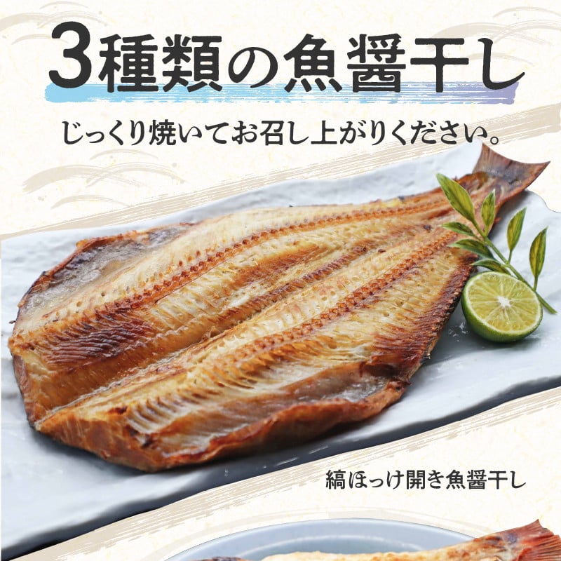 「ジョイフーズ」魚醤干し 干物３種セット