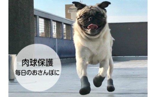 犬用ソックス「おさんぽソックス」