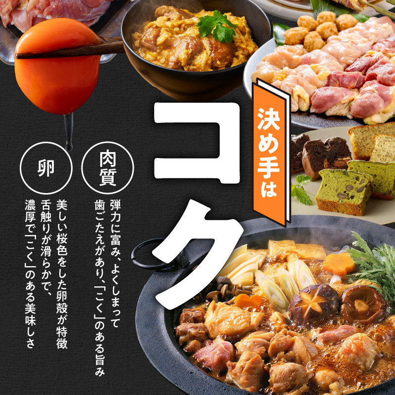 名古屋コーチン親子丼