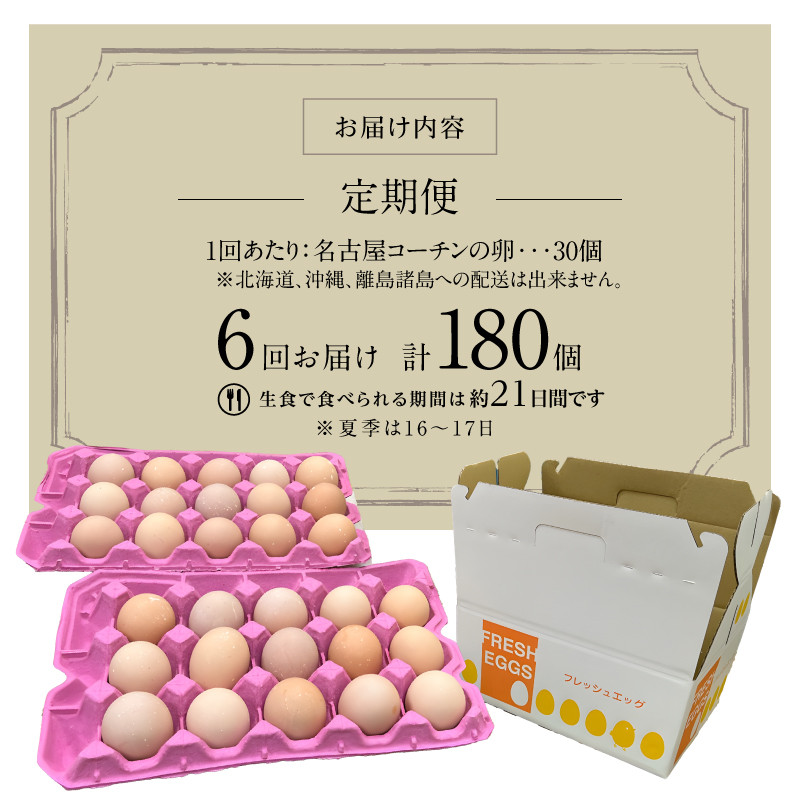【6ヶ月定期便】名古屋コーチン卵(30個入り)×6回（計180個）