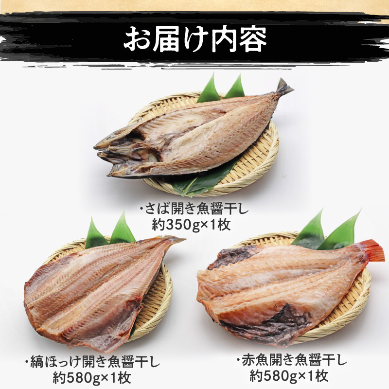 「ジョイフーズ」魚醤干し 干物３種セット