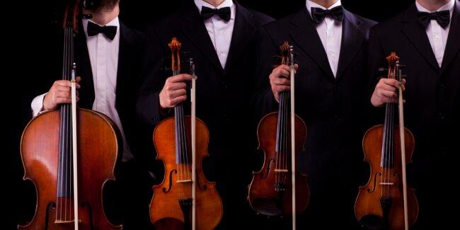 【極上の嗜み】１本の大木から製作する楽器カルテット（バイオリン２挺、ビオラ、チェロ）◆ 弦楽四重奏 演奏付き