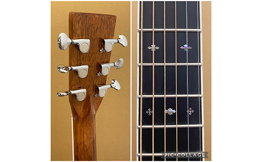 【Three S アコースティックギター】SUZUKI VIOLIN W-460