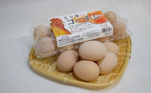 日本三大地鶏!!本当に美味しい食べ物は調味料の味に負けません！「純系 名古屋コーチンの卵」（30個）