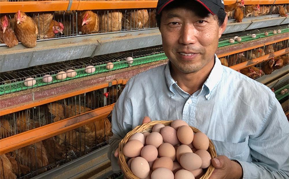 業務用　日本三大地鶏！！ 「純系　名古屋コーチンの卵」（90個）　本当に美味しい食べ物は調味料の味に負けません！