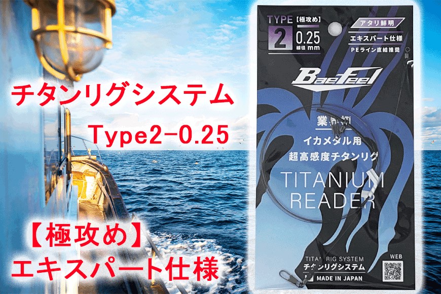 チタンリグシステム　Type2-0.25　【極攻め】エキスパート仕様＜吉見製作所＞