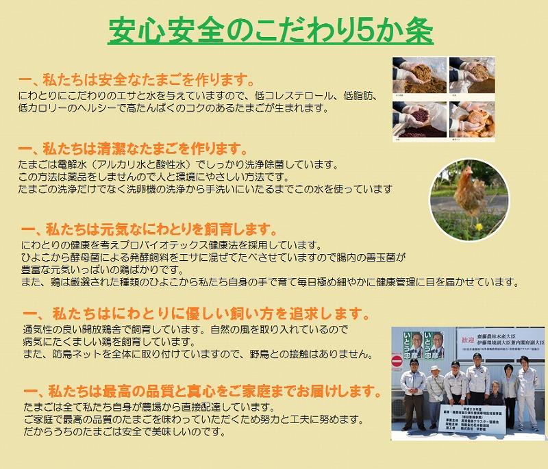 【3か月定期便】日本三大地鶏！！　本当に美味しい食べ物は調味料の味に負けません！「純系　名古屋コーチンの卵」（30個）