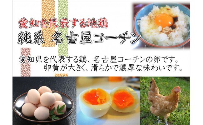 日本三大地鶏 本当に美味しい食べ物は調味料の味に負けません 純系 名古屋コーチンの卵 30個 ふるさとパレット 東急グループのふるさと納税