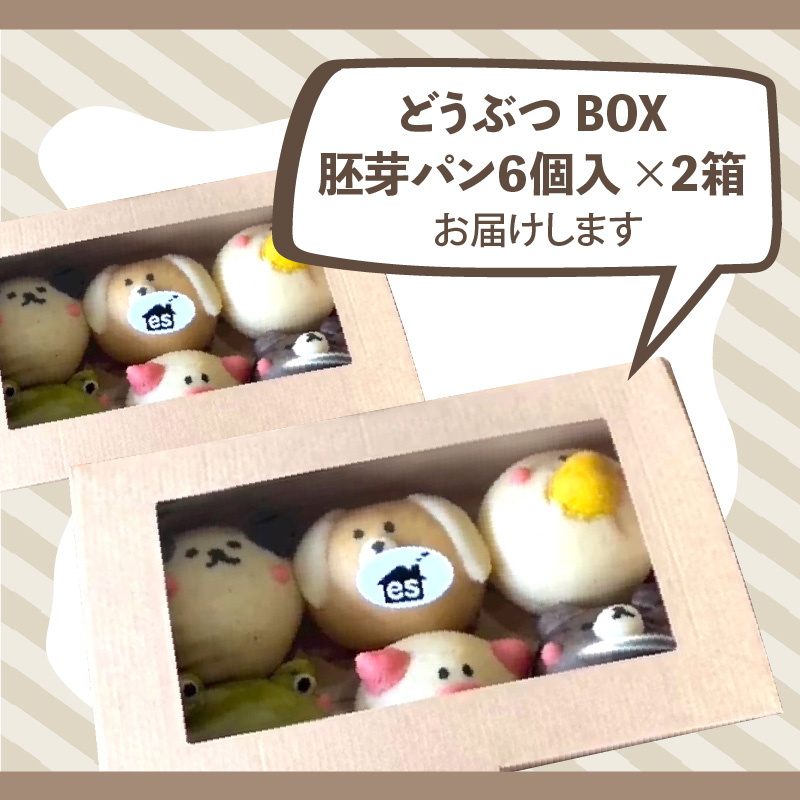 どうぶつBOX（胚芽パン12個セット）