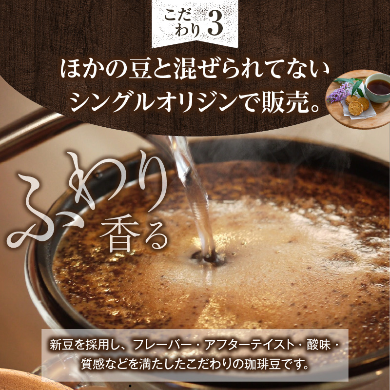 世界のスペシャルティコーヒー定期便(10ヶ月間) 豆