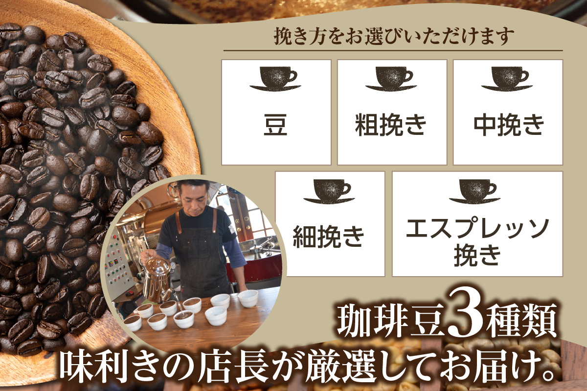 世界のスペシャルティコーヒー定期便(10ヶ月間)