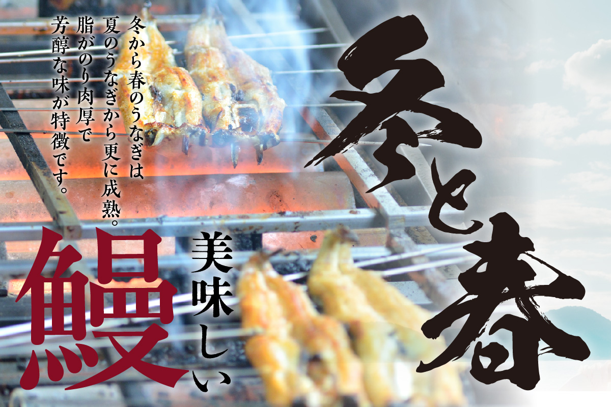 三河高浜産三代目養鰻家の白焼きうなぎ 特大5尾（875ｇ以上）