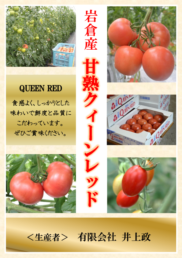 水耕栽培トマト（大玉）