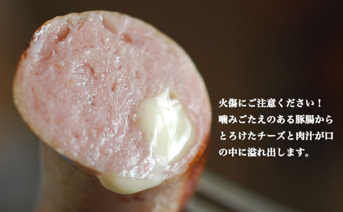 ハム ソーセージ 詰め合わせ スペシャルセット シャルキュトゥリ・コイデ ウィンナー ウインナー 肉 お肉 豚肉 豚 ギフト セット