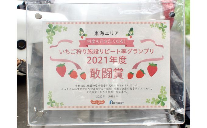 ストロベリーノ下田いちご狩り券2名様（スタンダードプラン