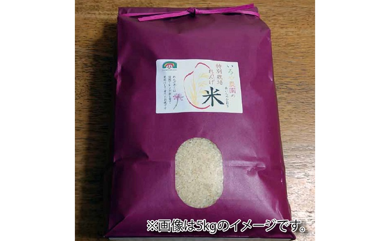 特別栽培れんげ米 日進市産 あいちのかおり 5kg × 1袋 米 白米 精米 特別栽培米 コメ お米 おこめ 愛知 愛知県 日進市