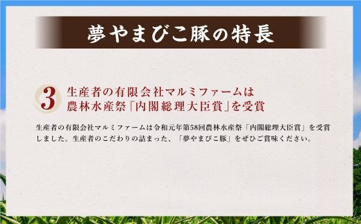 幸田町産「夢やまびこ豚」厳選バラエティパック 4種類 1kg (ロース・バラ・ヒレ・小間切れ) 