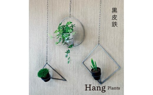 GRAVIRoN Hang Plants シリーズ Triangle/Diamond/Round セット 黒皮鉄（プランツハンガー）