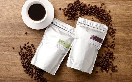 コーヒー豆＆フィルター付き お試し スターターセット（豆250g2袋＋1杯専用コーヒーフィルター40枚入り） コーヒー 珈琲