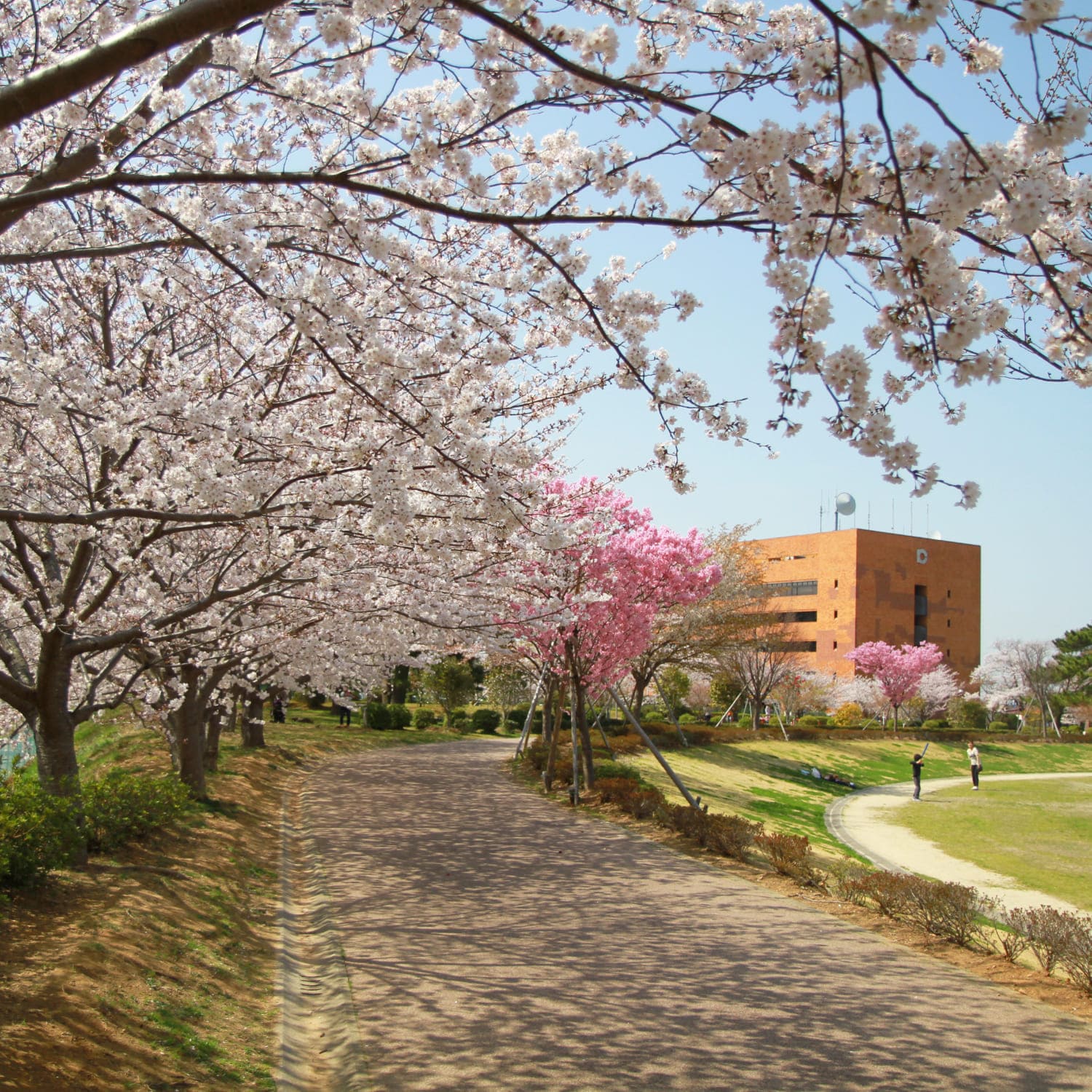 幸田町の風景画像