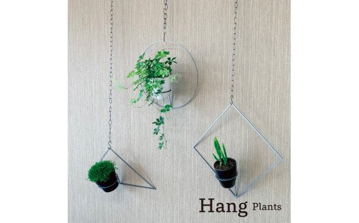 GRAVIRoN Hang Plants シリーズ Triangle 酸洗鉄（プランツハンガー）