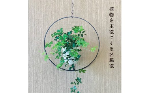 GRAVIRoN Hang Plants シリーズ Round 黒皮鉄（プランツハンガー）