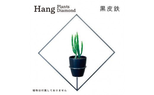 GRAVIRoN Hang Plants シリーズ Diamond 黒皮鉄（プランツハンガー）