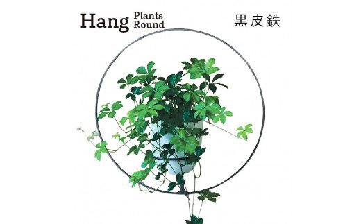 GRAVIRoN Hang Plants シリーズ Round 黒皮鉄（プランツハンガー）