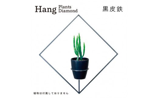 GRAVIRoN Hang Plants シリーズ Triangle/Diamond/Round セット 黒皮鉄（プランツハンガー）