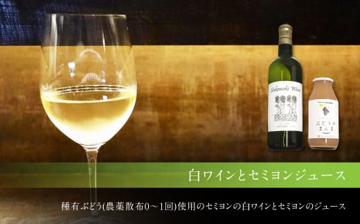 純米吟醸原酒「下田」720ml1本 白ワイン(セミヨン)720ml1本 セミヨンジュース180ml2本 詰め合わせ