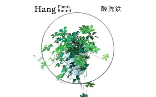 GRAVIRoN Hang Plants シリーズ Round 酸洗鉄（プランツハンガー）