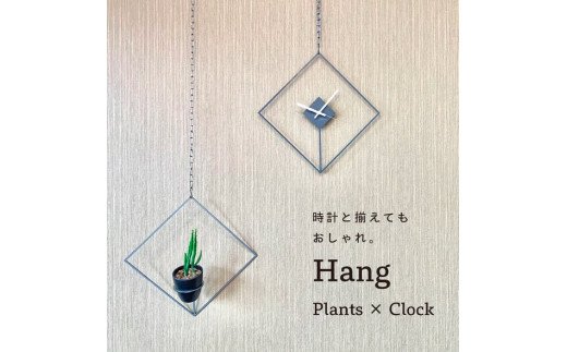 GRAVIRoN Hang Plants シリーズ Diamond 黒皮鉄（プランツハンガー）