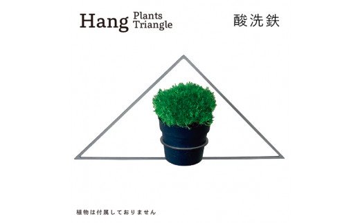 GRAVIRoN Hang Plants シリーズ Triangle 酸洗鉄（プランツハンガー）