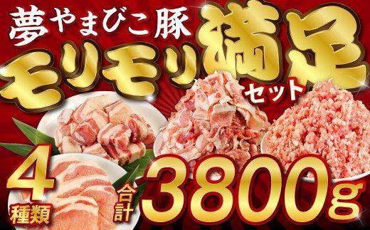 やまびこ豚 計3.8kg セット 小間切 ミンチ ロースかつ バラ角切 豚肉 小分け 真空パック