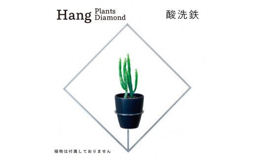 GRAVIRoN Hang Plants シリーズ Diamond 酸洗鉄（プランツハンガー）